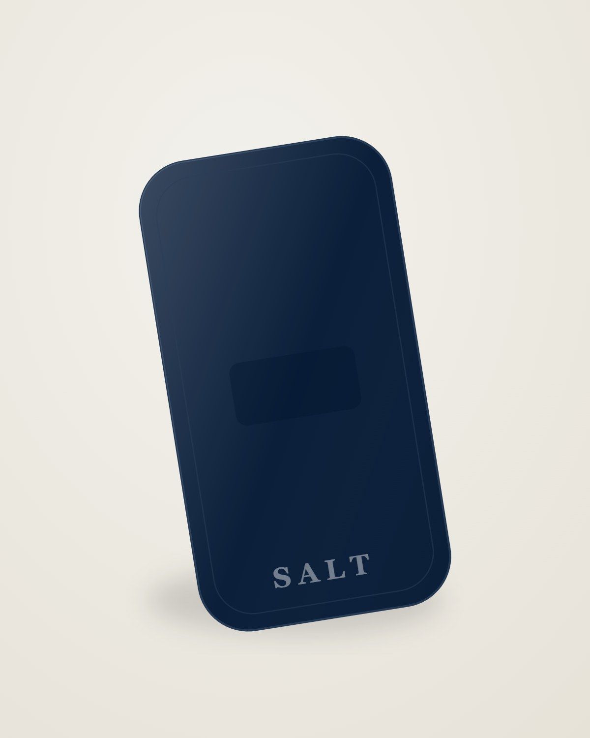 A navy SALT case