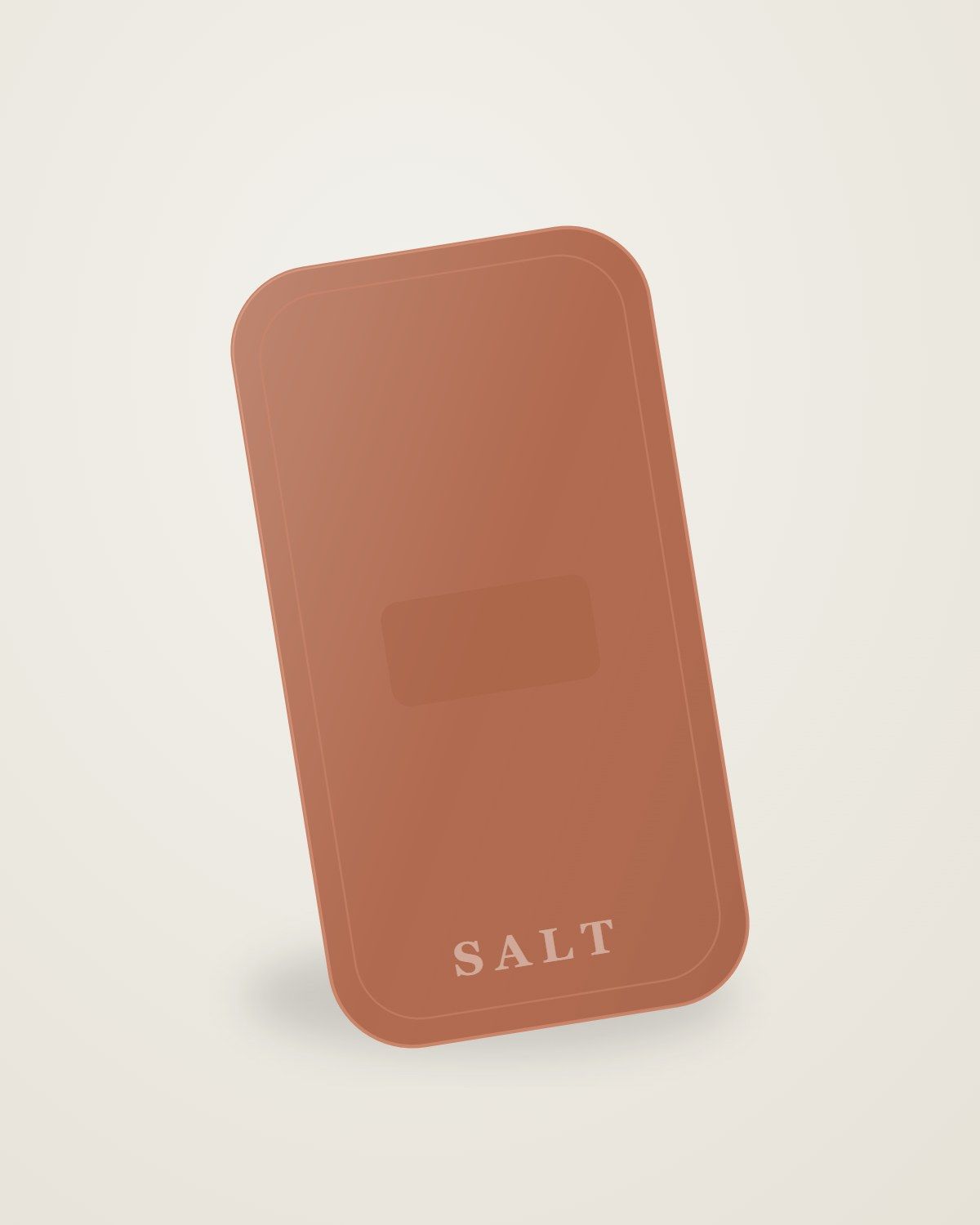 A clay SALT case